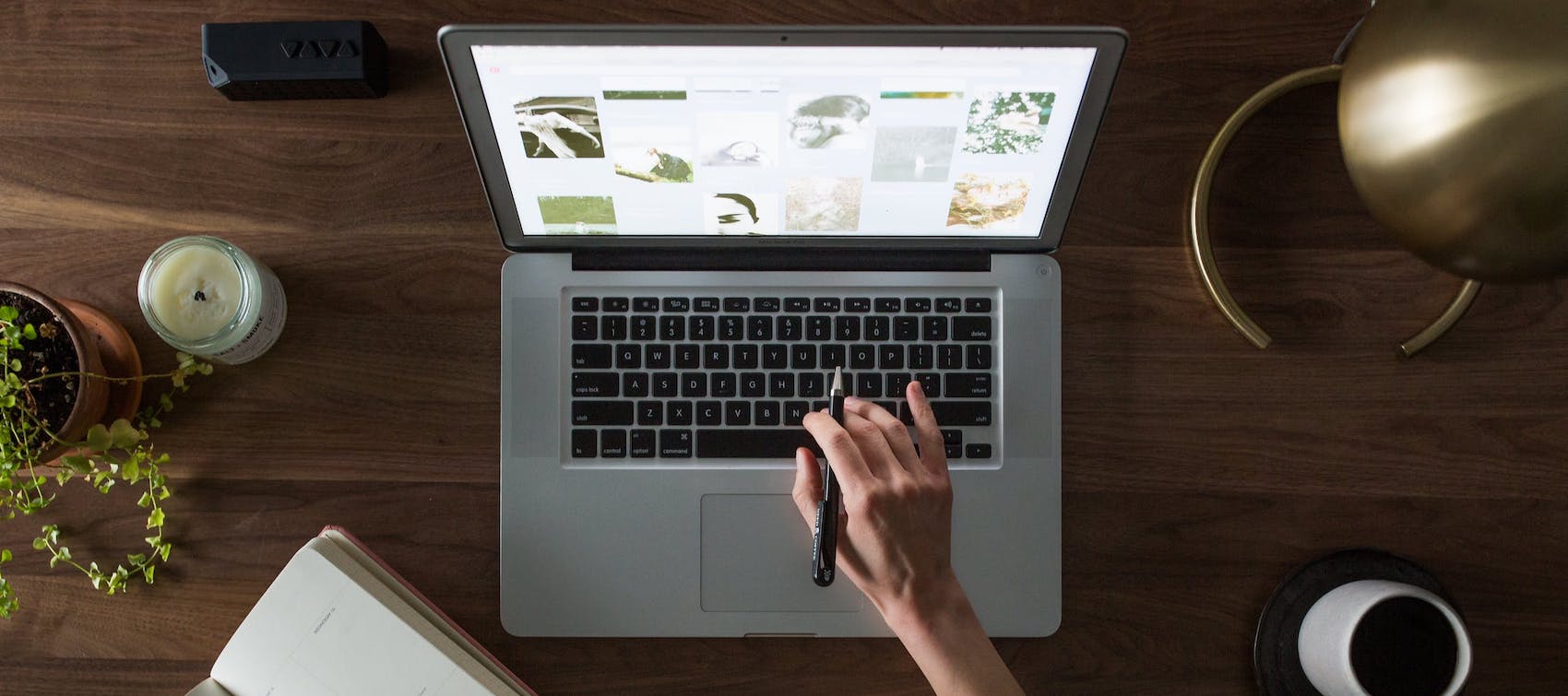 Hayden Poltpalingada